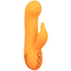 CALEXOTICS - MONTECITO MUSE VIBRATOR RABBIT ORANGE VON CALIFORNIA DREAMING