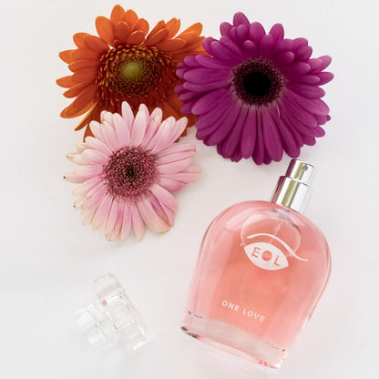 https://dreamlove.gesio.be/productos/imagenes/img_146247_cc070c45103402500891ee063ebebb35_1.jpg