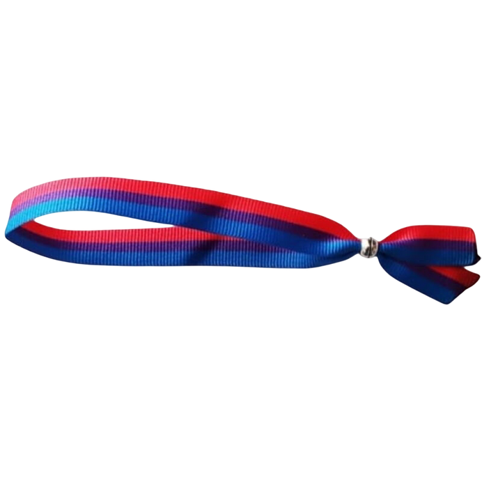 PRIDE - BISEXUELLES ARMBAND