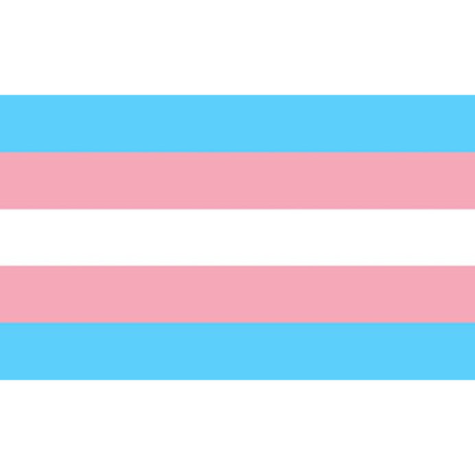 PRIDE - TRANSSEXUELLE FLAGGE 90 X 150