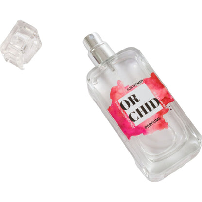 https://dreamlove.gesio.be/productos/imagenes/img_158150_848de2674868ce7634a3c774055190d7_1.jpg