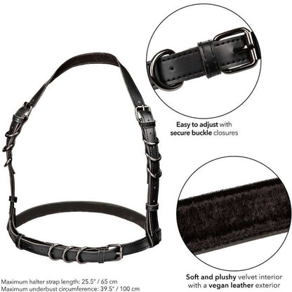 https://dreamlove.gesio.be/productos/imagenes/img_173027_c038ecc9f987bd60482b37e0d2e0190f_1.jpg