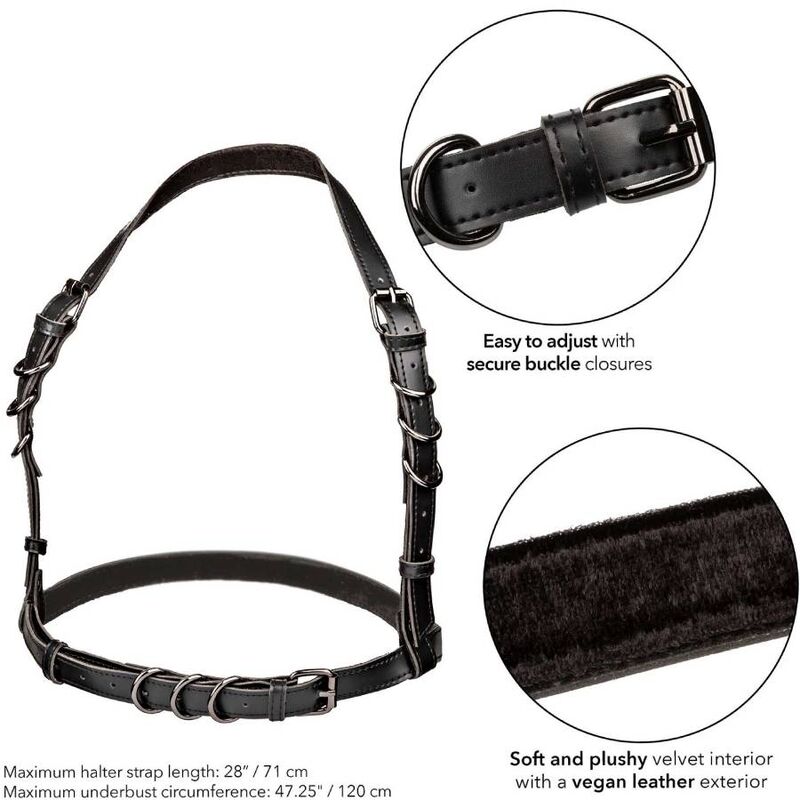 https://dreamlove.gesio.be/productos/imagenes/img_173058_be687b3dd1c231749464f1d142ace4df_1.jpg