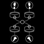 FETISH SUBMISSIVE - HAND- UND KNÖCHEL-HANDSCHELLEN-SET MIT NOPRENE-FUTTER