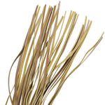 FETISH SUBMISSIVE ORIGEN - PEITSCHE AUS VEGANEM LEDER